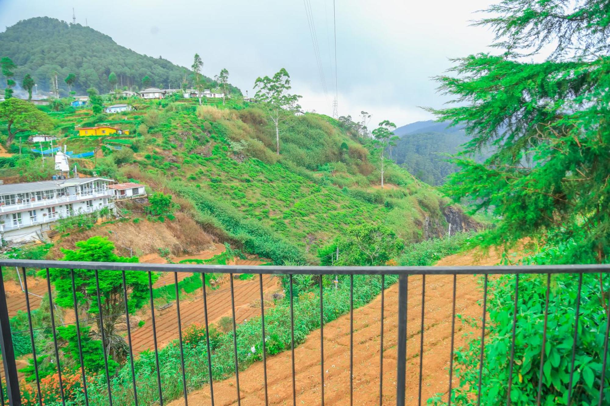 Tea hills