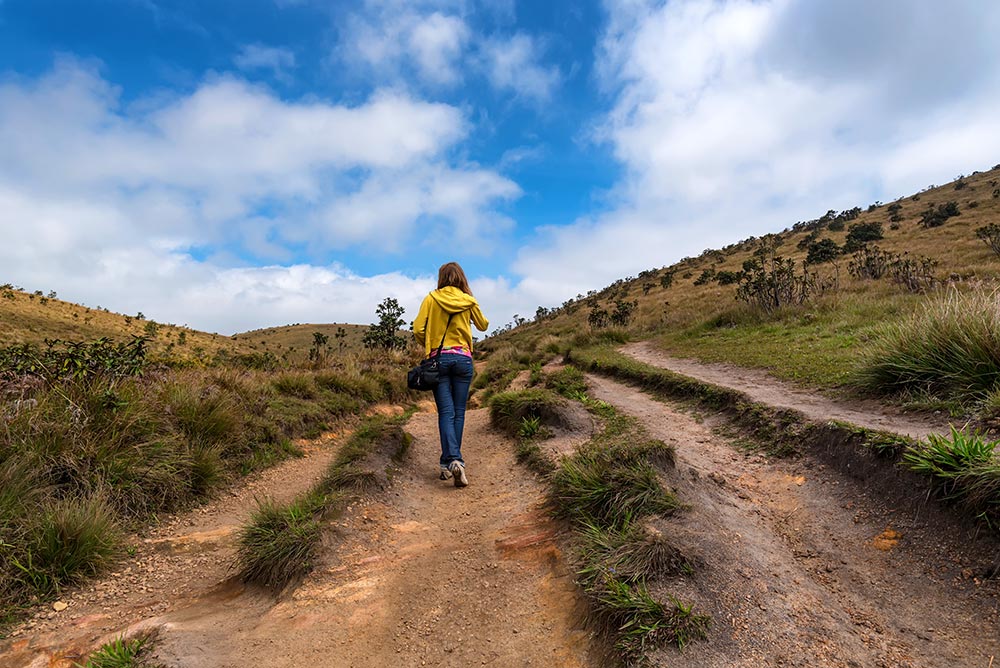 Hill country trails