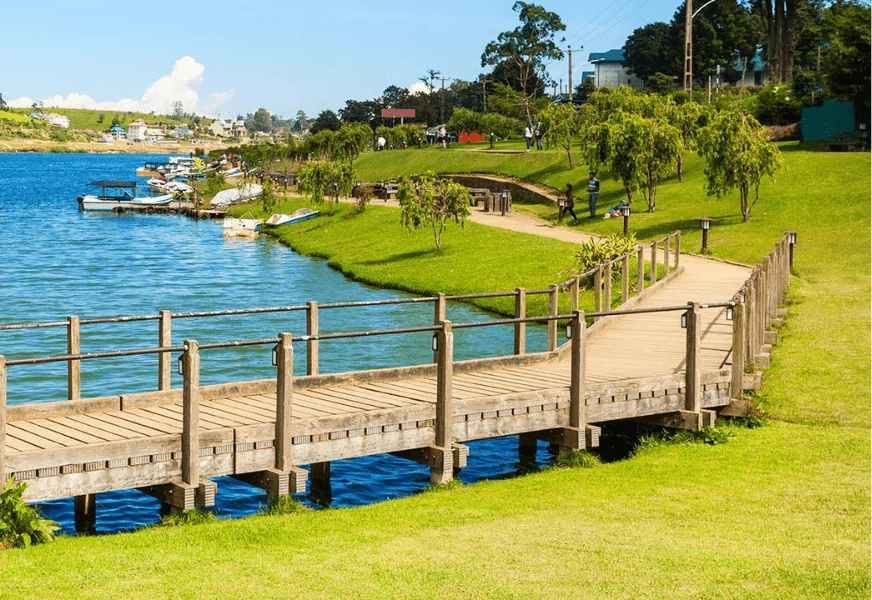 Gregory Lake